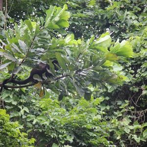 Meet your Posher, Deb